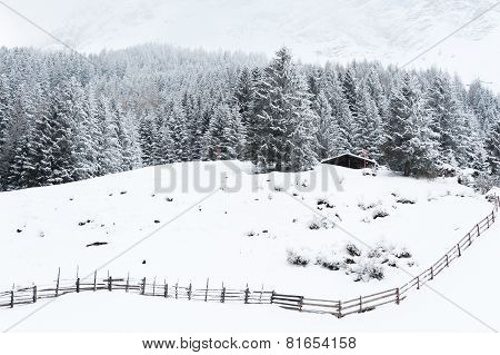 Winter scenery