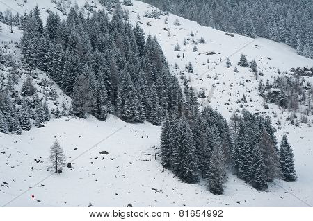 Winter scenery