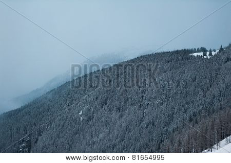 Winter scenery