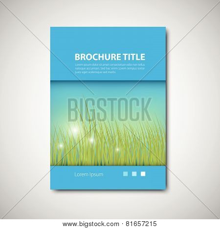 Brochure Template