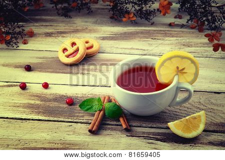 Cup of tea and a biscuit