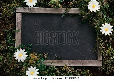 Spring Background