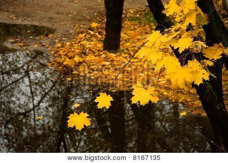 Autumn odchodzi