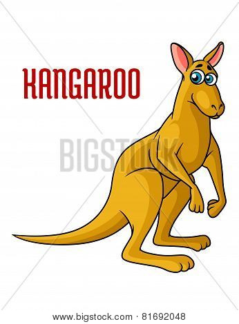 Cartoon kangaroo character
