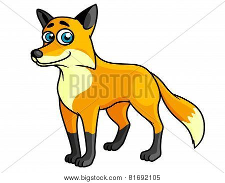 Smiling colored cartoon fox