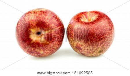 Pair Of Pluot Apricot Plums