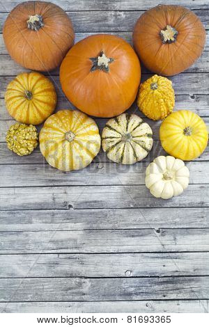 Orange and yellow pumpkins