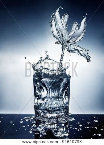 flower made of water with glass