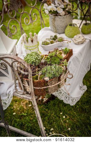 Garden decoration with wildflowers and succulents in shabby chic style