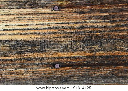 Texture Old Wood With Nails