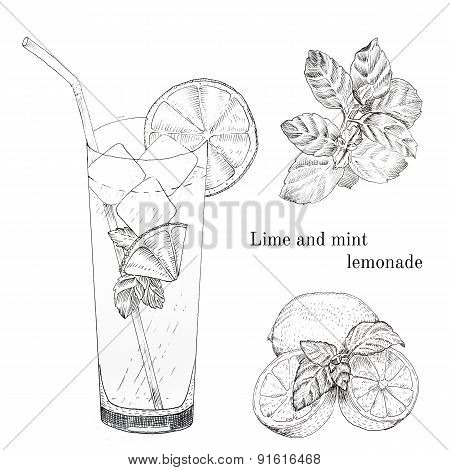 Lime and mint lemonade ink sketch set