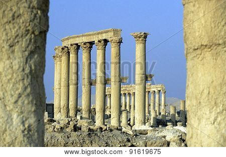 Syria Palmyra Roman Ruins