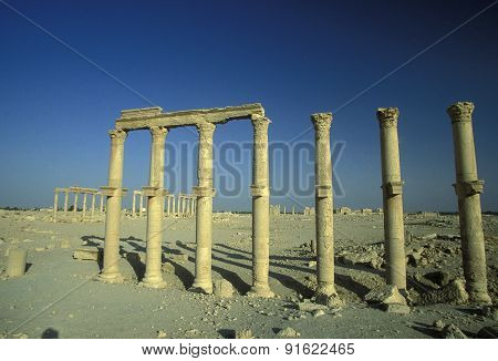 Syria Palmyra Roman Ruins