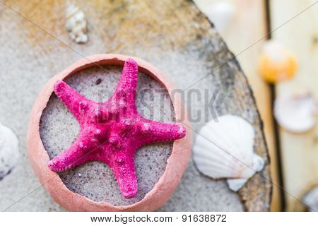 Colorfull Sea Shells Sand Board