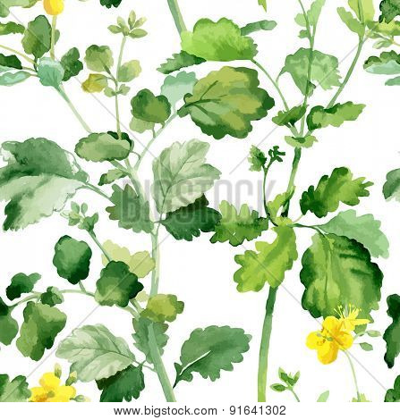 Watercolor vector seamless pattern with floral elements