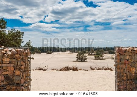 Sand Plain And Dunes In A Dutch Nature Reserve