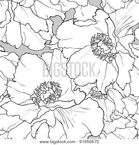 Beautiful floral seamless pattern. Peony illustration