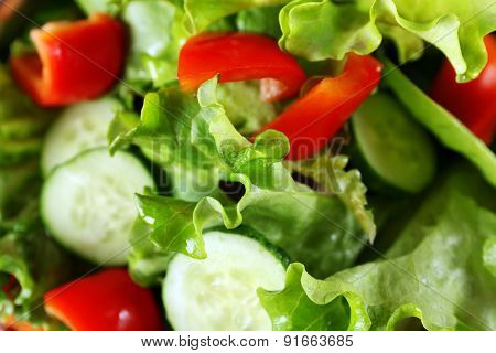 Fresh vegetable salad close up