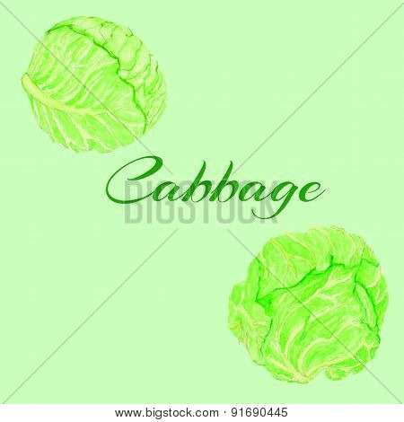 cabbage