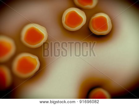 superbug or Staphylococcus aureus (MRSA) bacteria