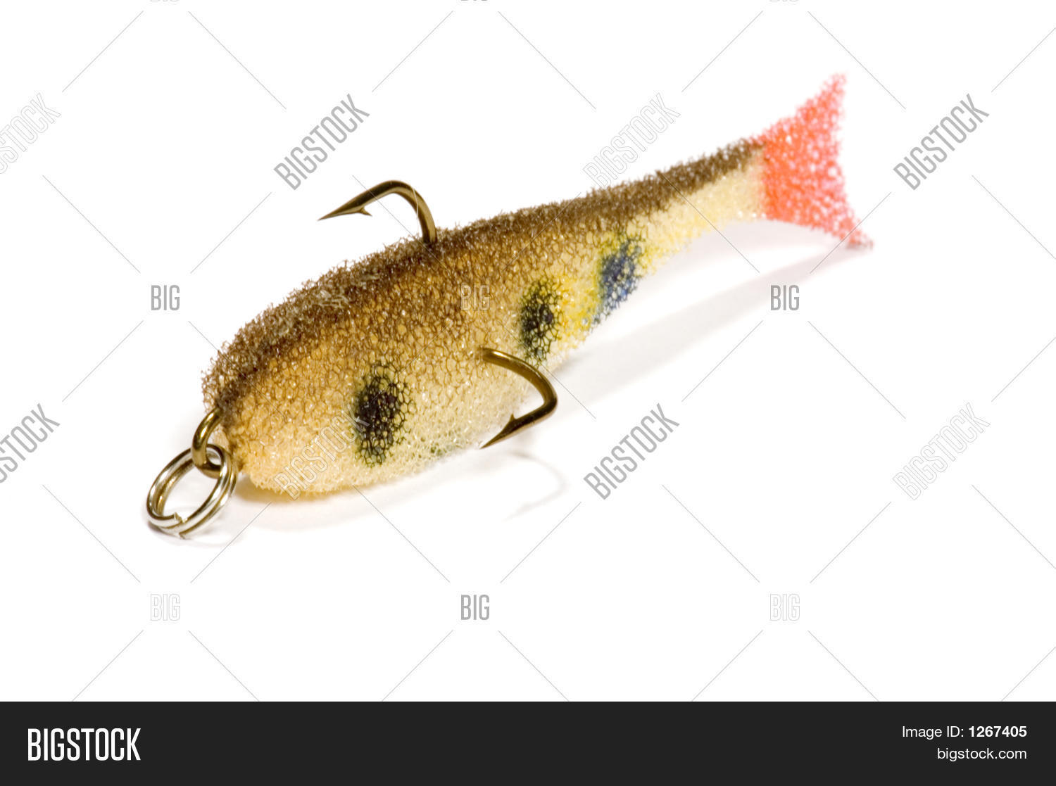 FoamRubber Fish Image & Photo (Free Trial) Bigstock