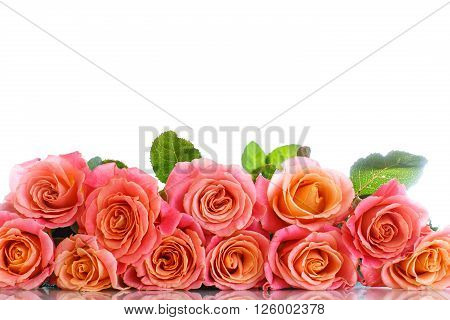 bouquet of pink roses isolated on white
