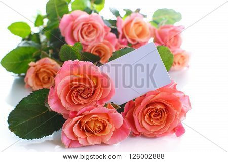 bouquet of pink roses isolated on white