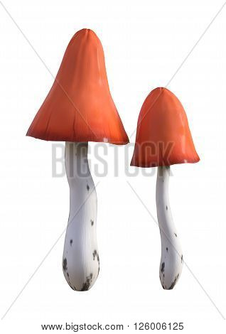3D illustration of mushrooms isolated on white background