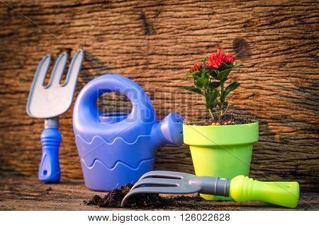 Spring gardening with garden tools kid toy and plant growing over old wood background vintage style.
** Note: Shallow depth of field