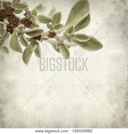 Textured Old Paper Background