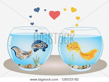 Fishes couple in love swiming in different aquariums look at each other. Romantic feeling concept. Vector.