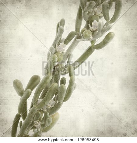 Textured Old Paper Background