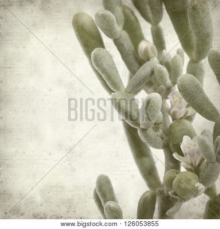 Textured Old Paper Background