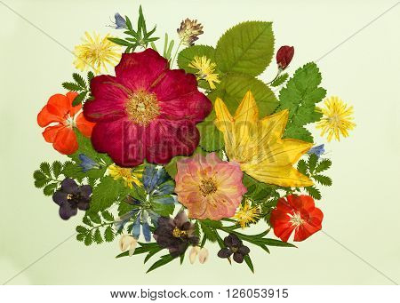 Bouquet of flowers on a light background. Pressed dried rosehip flowers pumpkin geranium violet dandelion clover and lupine. Picture from dry flowers.