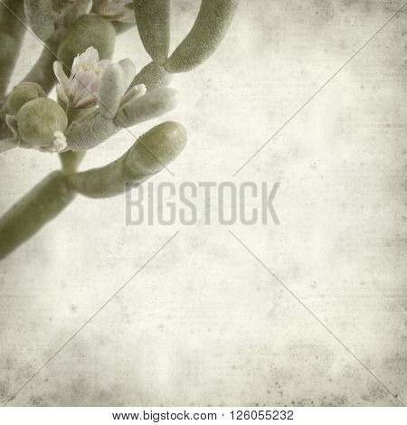 Textured Old Paper Background