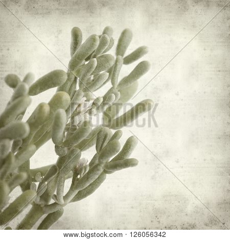 Textured Old Paper Background
