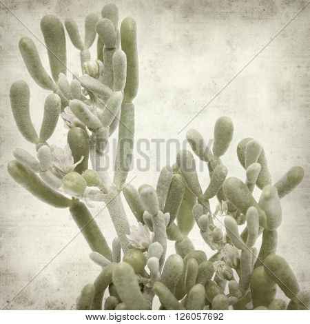 Textured Old Paper Background