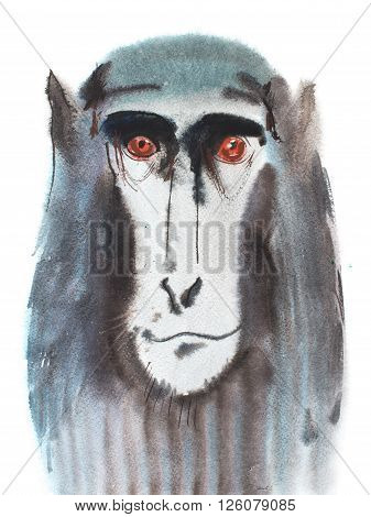 Watercolor portrait of grey furry monkey. Aquarelle drawing 2016 symbol.