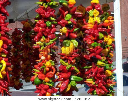 hängende Paprika in sun