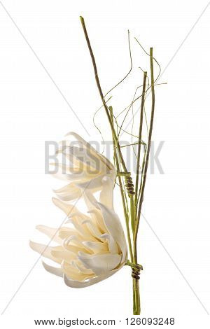 Artificial white gardenia flowers isolated on white background