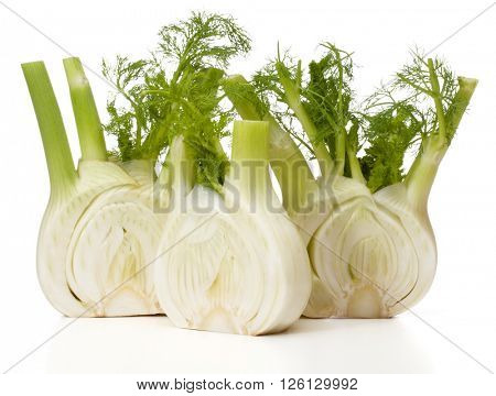 Fresh fennel bulb isolated on white background close up
