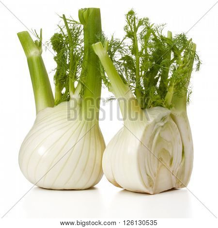 Fresh fennel bulb isolated on white background close up