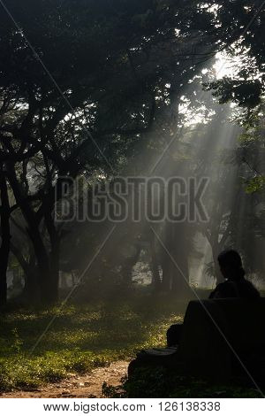 Silhouette of woman relaxing in a park enjoying morning sun rays at cubbon park , Bangalore, Karnataka, India