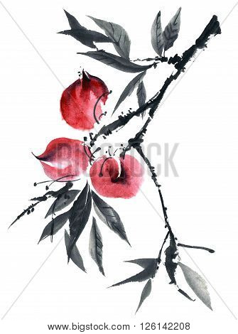 Watercolor and ink illustration of peach tree. Gohua sumi-e u-sin painting.