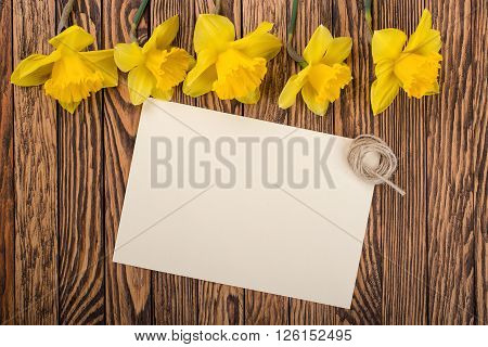 Fresh spring yellow daffodils flowers and empty tag on a brown painted wooden planks. Selective focus. Place for text.
