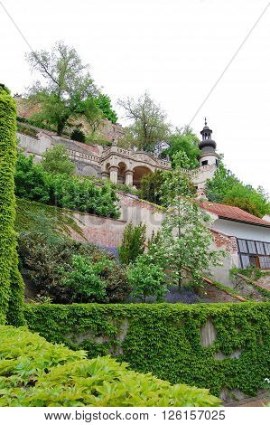 Prague. Spring. Blossom. the Castle Gardens, terraced gardens.