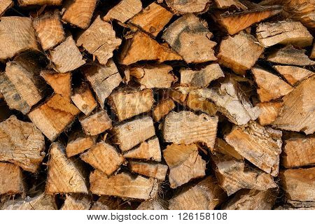 many wood trunk for natural and rustic background