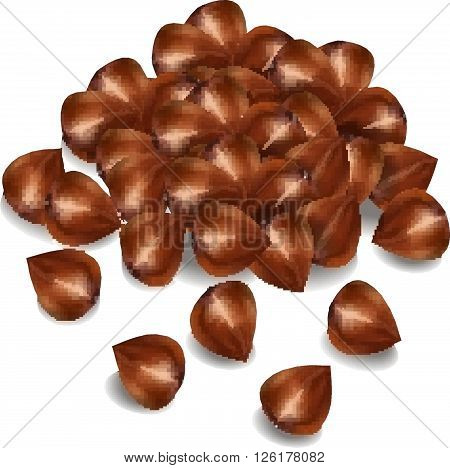 buckwheat grain. buckwheat vector illustration 3d. Buckwheat grains macro