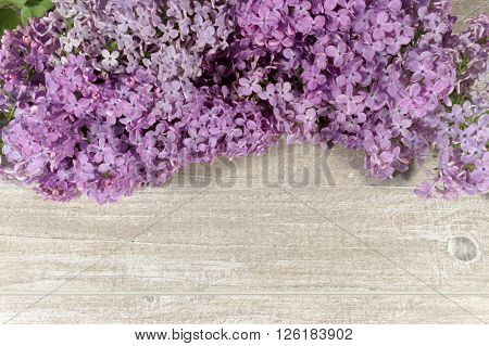 Closeup of purple lilac flowers on wooden table