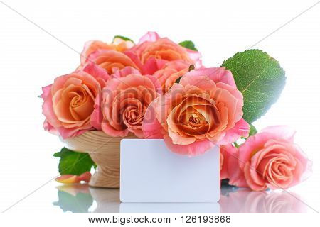 bouquet of pink roses isolated on white